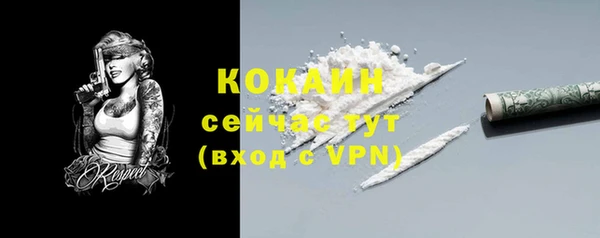 крисы Аркадак