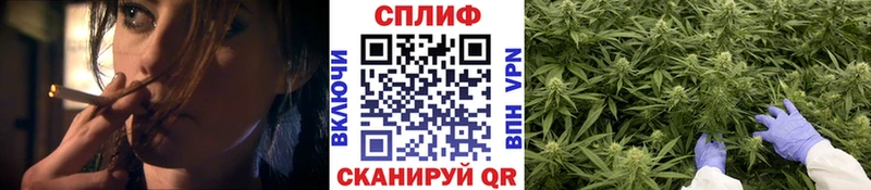дарк нет состав  блэк спрут вход  МАРИХУАНА план  Тавда  магазин   